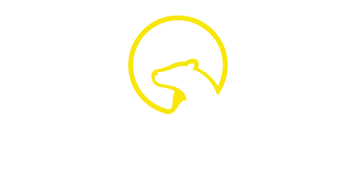 Vich Design Studio